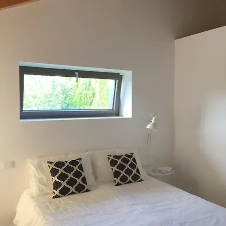 Civico1a1 * Veternigo